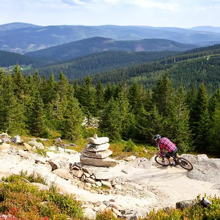 Czarna Góra 113 Apartament 3*