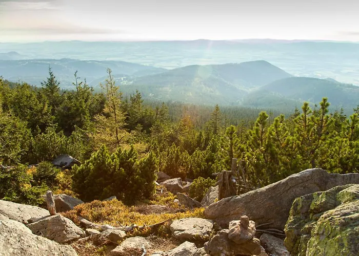 Apartment Czarna Gora 113 3*