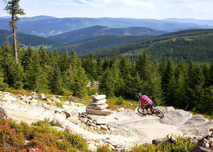 Czarna Gora 113 Apartment 3*